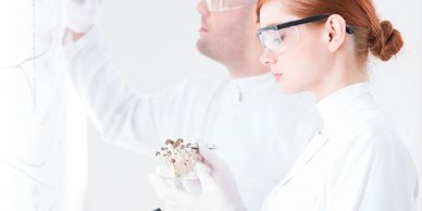 Scientist examining Magnecine compound samples