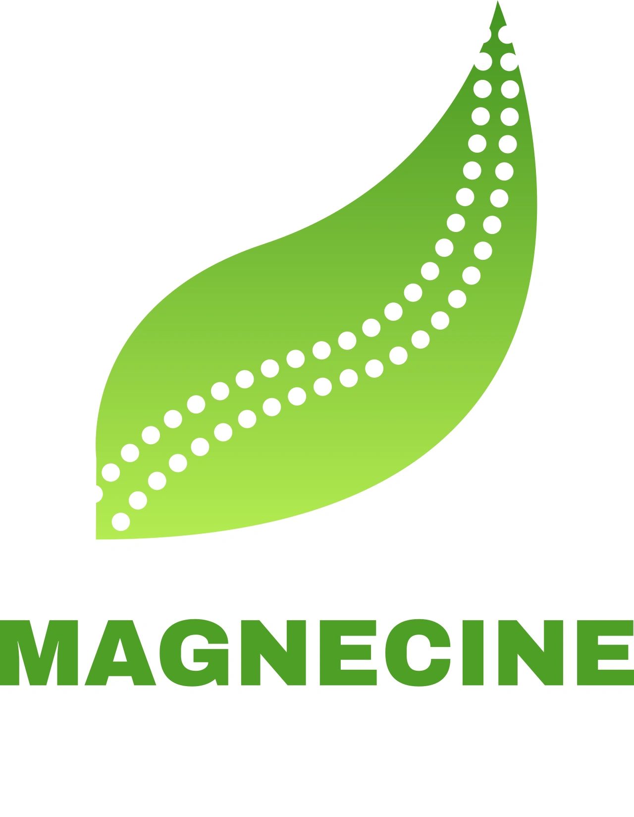 Magnecine brand logo